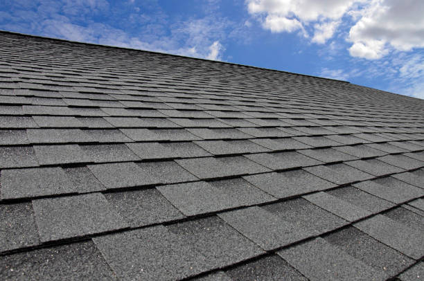 Best Storm Damage Roof Repair  in Zapata, TX